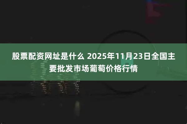 股票配资网址是什么 2025年11月23日全国主要批发市场葡萄价格行情