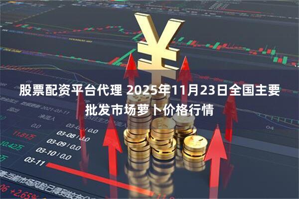 股票配资平台代理 2025年11月23日全国主要批发市场萝卜价格行情