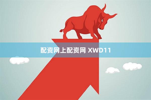 配资网上配资网 XWD11